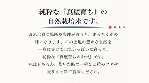 自然栽培米 コシヒカリ 『蝶とんぼ』 上白米 2kg 茨城県産 桜川 米 お米 白米 コメ ごはん コシヒカリ こしひかり 国産 [AU002sa]