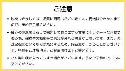 【 2024年 先行予約 】 シャインマスカット 1kg (茨城県共通返礼品 石岡市) 2024年9月上旬発送開始 自宅用 マスカット フルーツ 果物 [DC008sa]