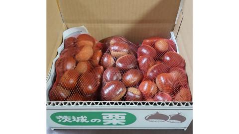 【先行予約】 生栗 3種 食べ比べ 約3kg （2024年10月中旬発送開始） 茨城県産 産地直送 久保田果樹園 [DH019sa]