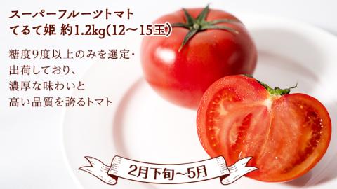 【 定期便 】【 2026年9月上旬から発送開始 全4回 】 数量限定 贅沢 フルーツ 満喫コース 旬の果実 旬のフルーツ くだもの 果実 トマト フルーツトマト スイカ いちご メロン 特選 贅沢 厳選 定期便  [BC057sa]
