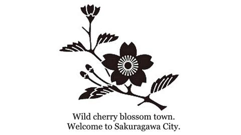 桜の家紋「枝櫻」の マネークリップ クリップ ギフト ラッピング 贈り物 記念品 贈答用 プレゼント 桜川市 [AH071sa]