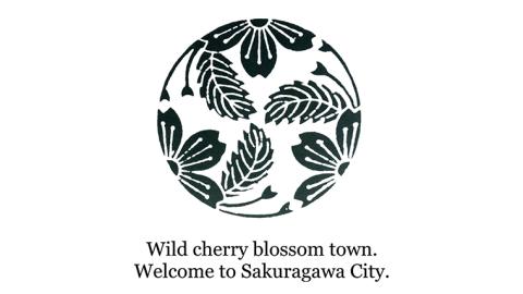 桜の家紋「葉附三つ割山櫻」の マネークリップ クリップ ギフト ラッピング 贈り物 記念品 贈答用 プレゼント 桜川市 [AH077sa]
