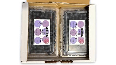 冷凍 ブルーベリー 800g 冷凍ブルーベリー 国産 茨城県産 ベリー 冷凍果実 フルーツ 果物 くだもの 自家製栽培 [AK005sa]
