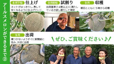 【2025年8月下旬発送開始】 季節 限定 ！ 甘さ満点 アールス メロン 3玉 入箱 果物 フルーツ 農家直送 産直 青肉メロン 特産品 マスクメロン メロン くだもの 茨城 [BC044sa]