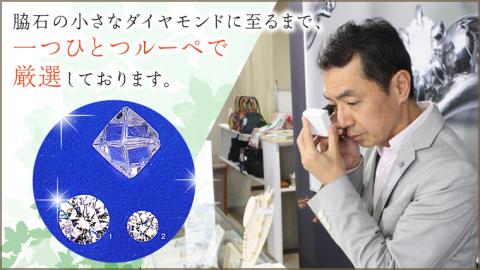 筑波山ペアリング2本セット ペアリング pt950 プラチナ ギフト 記念 結婚指輪 贈り物 贈答用 リング アクセサリー ジュエリー ジュエリーマーノ 桜川市 [AH065sa]