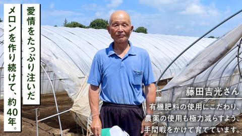 【2026年5月上旬から発送開始】I.K メロン ( 赤肉メロン ) 2玉 セット 糖度15以上 先行予約 農家直送 高級 赤肉 アイケーメロン ブランドメロン フルーツ 果物  くだもの 旬 甘い 香り ギフト 人気 産直 茨城 数量限定 [CT001sa]