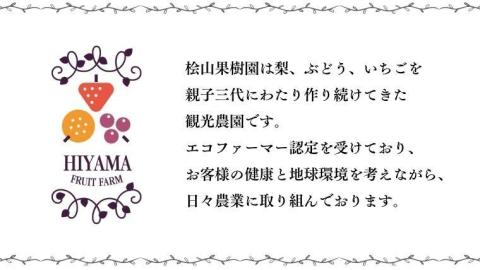 【 2026年 先行予約 】3種 食べ比べセット（4パック×1箱)（茨城県共通返礼品／常陸太田市） 2026年1月上旬発送開始 フルーツ 苺 イチゴ いちご 新鮮 朝採れ 茨城県 桧山FRUITFARM [DY003sa]