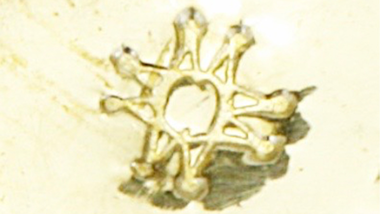 24金 純金 フォースコイン 1/5oz ペンダントトップ ギフト プレゼント ジュエリー ジュエリーマーノ 桜川市 [AH118sa]