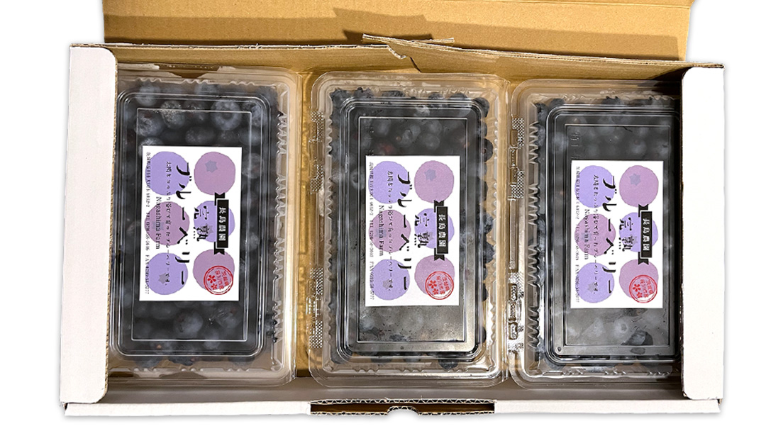 ブルーベリー1.2kg ( 400g × 3パック ) 【2026年6月から発送開始】 国産 茨城県産 ベリー フルーツ 果物 くだもの 自家製栽培[AK002sa]