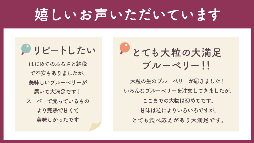 ブルーベリー 800g ( 400g × 2パック ) 【2026年6月から発送開始】 国産 茨城県産 ベリー フルーツ 果物 くだもの 自家製栽培[AK003sa]