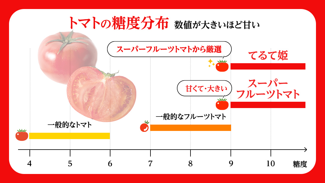 《 2026年収穫分 先行予約 》 糖度9度以上 スーパーフルーツトマト 中箱 約1.2kg × 1箱 (12～18玉/1箱) フルーツトマト ブランドトマト 野菜 ギフト 贈答 [BC002sa]