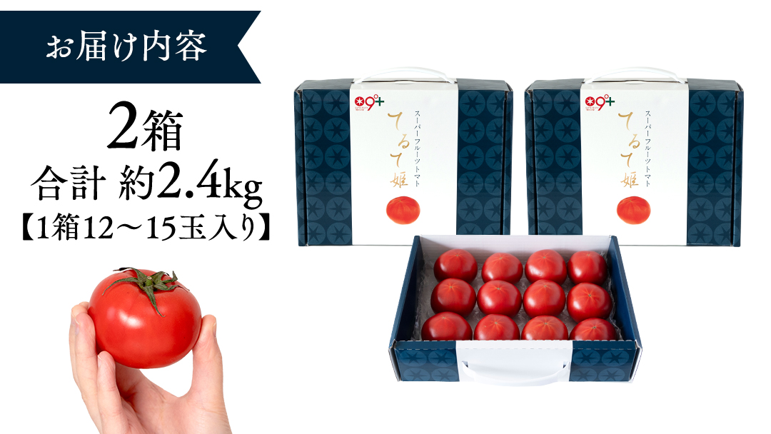 《 テレビで紹介 》【 2026年収穫分 先行予約 】 糖度9度以上 スーパーフルーツトマト てるて姫 中箱 約1.2kg × 2箱 【12?15玉/1箱】  フルーツトマト ブランドトマト 野菜 ギフト 贈答 青空レストラン アド街ック天国 グッドモーニング 黄金のワンスプーン [BC034sa]