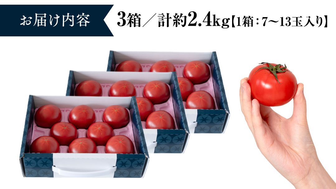 《 テレビで紹介 》【 2026年収穫分 先行予約 】 糖度9度以上 スーパーフルーツトマト てるて姫 小箱 約800g × 3箱 【7?13玉/1箱】 フルーツトマト ブランドトマト 野菜 ギフト 贈答 青空レストラン アド街ック天国 グッドモーニング 黄金のワンスプーン [BC037sa]