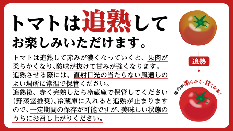 訳あり 糖度9度以上 スーパーフルーツトマト 大箱 約2.6kg × 1箱 (20～35玉/1箱)  2026年収穫分 先行予約 フルーツトマト ブランドトマト 野菜 ギフト 贈答 [BC038sa]