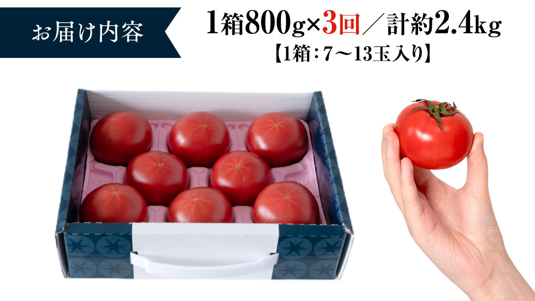 《 テレビで紹介 》【 2026年収穫分 先行予約 】【 3回 定期便 】 糖度9度以上 スーパーフルーツトマト てるて姫 小箱 約800g × 1箱 × 3回 フルーツトマト ブランドトマト 野菜 ギフト 贈答 青空レストラン アド街ック天国 グッドモーニング 黄金のワンスプーン [BC052sa]