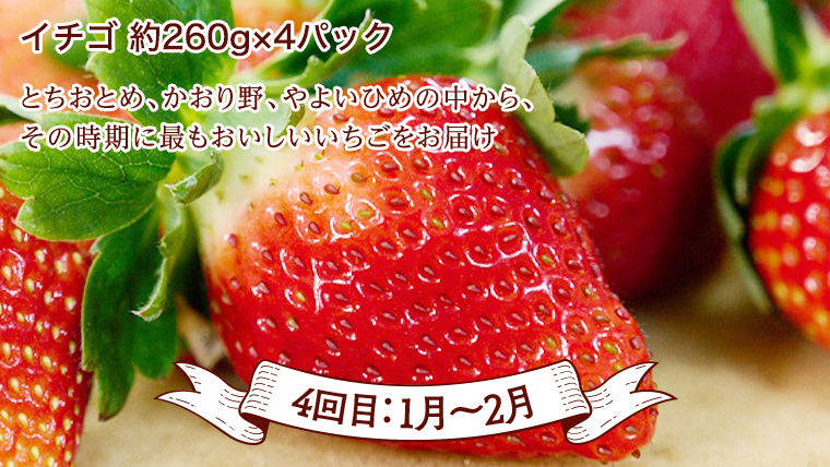 【 定期便 】【 2026年2月下旬から発送開始 全4回 】 数量限定 贅沢 フルーツ 満喫コース 旬の果実 旬のフルーツ くだもの 果実 トマト フルーツトマト スイカ いちご メロン 特選 贅沢 厳選 定期便 [BC056sa]