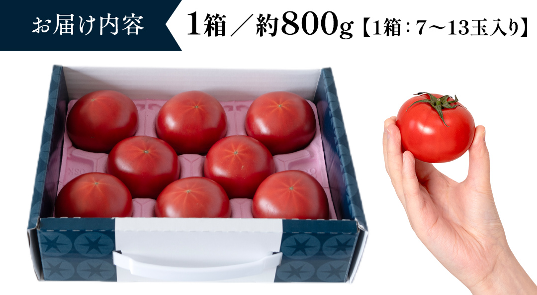 《 テレビで紹介 》【 2026年収穫分 先行予約 】 糖度9度以上 スーパーフルーツトマト てるて姫 小箱 約800g × 1箱 【7?13玉/1箱】 フルーツトマト ブランドトマト 野菜 ギフト 贈答 青空レストラン アド街ック天国 グッドモーニング 黄金のワンスプーン [BC065sa]