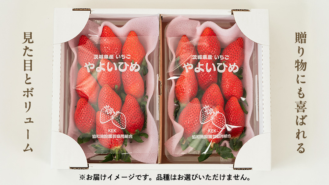 【2ヵ月 定期便】 完熟 いちご 4パック × 2回 合計 8パック （1P約260g） 国産 イチゴ 苺 果物 くだもの フルーツ かおり野 とちおとめ やよいひめ 茨城県産 KEK [BC074sa]