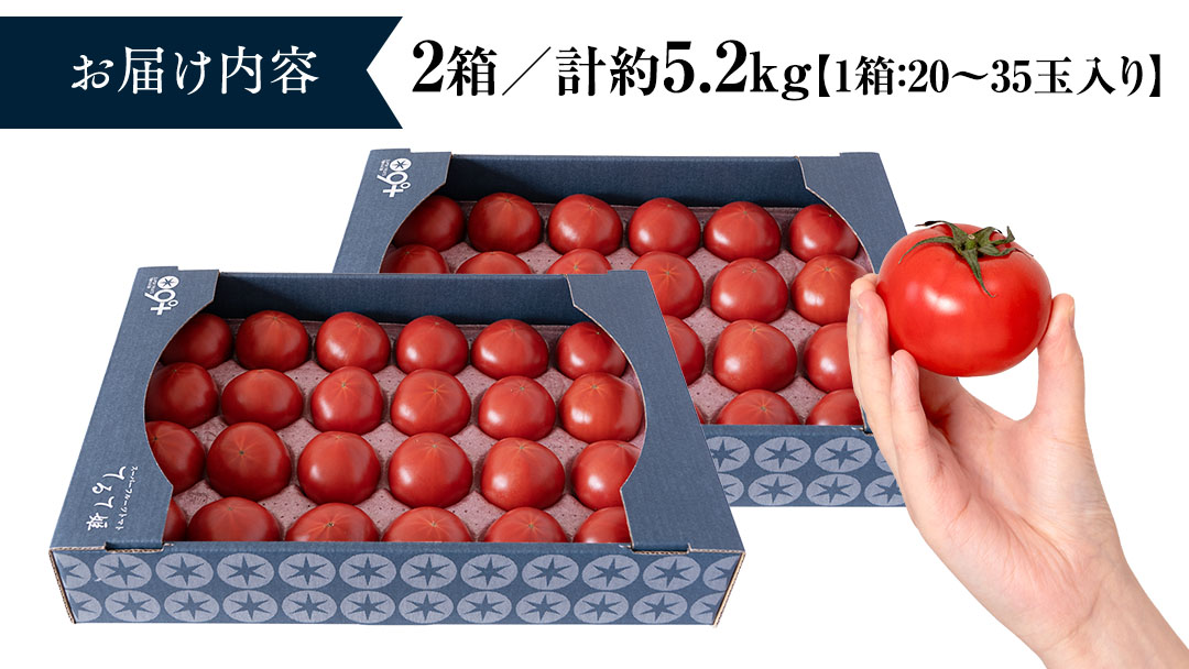 《 テレビで紹介 》【 2026年収穫分 先行予約 】 糖度9度以上 スーパーフルーツトマト てるて姫 大箱 約2.6kg × 2箱 【20?35玉/1箱】 フルーツトマト ブランドトマト 野菜 ギフト 贈答 青空レストラン アド街ック天国 グッドモーニング 黄金のワンスプーン [BC086sa]