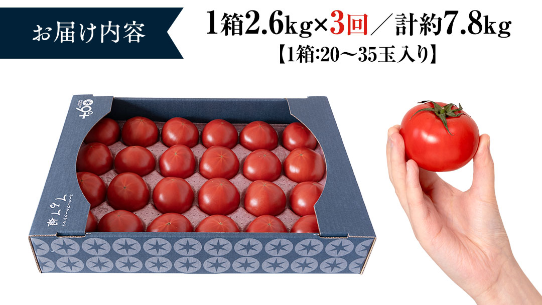 《 テレビで紹介 》【 2026年収穫分 先行予約 】【 3回 定期便 】 糖度9度以上 スーパーフルーツてるて姫 大箱 約2.6kg × 1箱 × 3回 フルーツトマト ブランドトマト 野菜 ギフト 贈答 青空レストラン アド街ック天国 グッドモーニング 黄金のワンスプーン [BC087sa]
