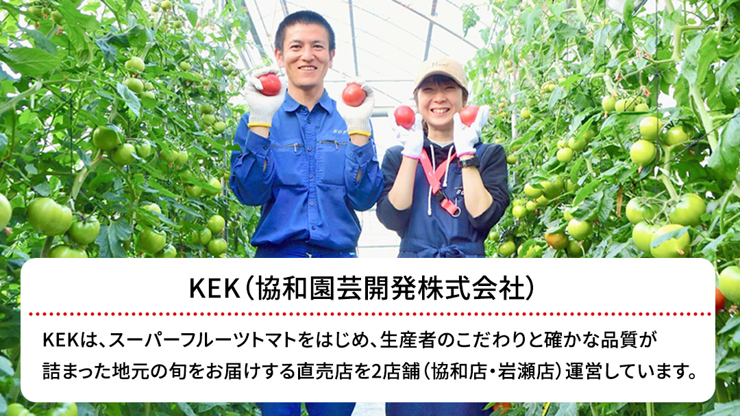 【母の日専用】 スーパーフルーツトマト てるて姫 大箱 約2.6kg ×1箱 糖度9度以上 《5月4日～10日お届け メッセージカード付》 トマト とまと 野菜 母の日 ギフト 贈り物 プレゼント 感謝 記念日 [BC094sa]