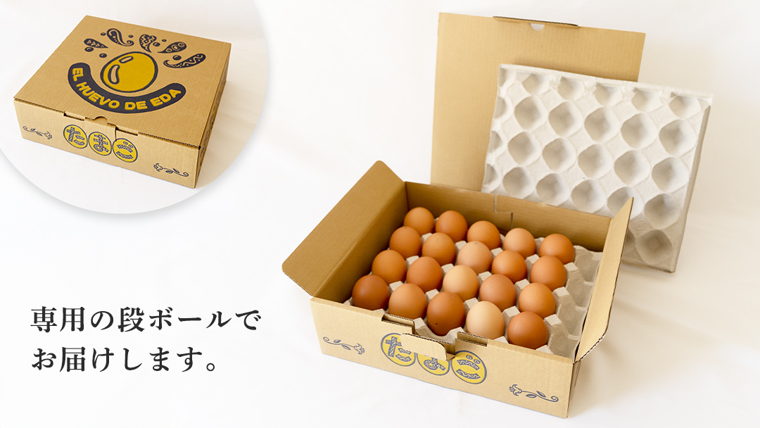 【3ヶ月定期便】枝さんち の たまご 20個×3回 合計60個 定期便 産地直送 たまご 玉子 生卵 鶏卵 タマゴ 平飼い 桜川市産 茨城県産 卵 非遺伝子組換え [BT004sa]