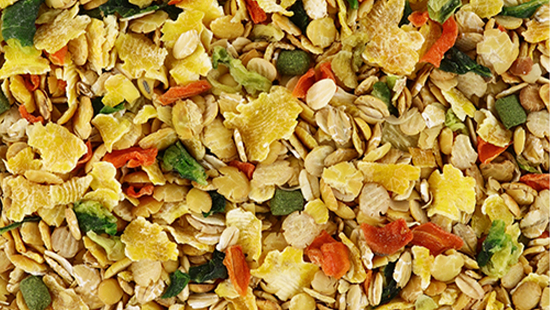 ハーティー もぐもぐベジグレ 260g × 3袋 小動物用フード ペットフード 野菜 豆 穀物 おやつ 保存料・着色料無添加 砂糖不使用 乳酸菌（フェカリス菌）配合 [BU030sa]