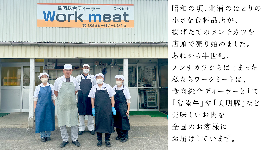 美明豚 挽肉 3kg【茨城県共通返礼品 行方市】 豚肉 国産 銘柄 グルメ 茨城県 料理 ひき肉 ミンチ お肉 肉 豚 ミンチ肉 ブランド豚 冷凍 小分け [CV002sa]