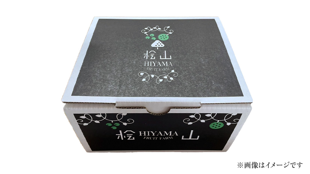 【2026年9月中旬発送開始】 極上 プレミアム シャインマスカット ５房 ( １房 1kg 以上) 数量限定 【茨城県共通返礼品／常陸太田市】 桧山果樹園 農家直送 桧山果樹園 農家直送 フルーツ 甘い 直送 茨城 限定 ギフト ぶどう シャインマスカット 旬 贈答 果物 [DU018sa]