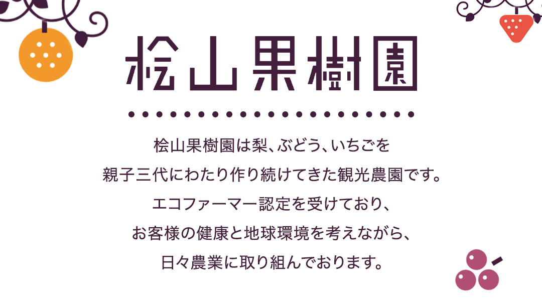 【2026年9月中旬発送開始】 極上 プレミアム シャインマスカット １房 ( １房 1kg 以上) 数量限定 【茨城県共通返礼品／常陸太田市】先行予約 マスカット 特大 贈答用 ギフト プレゼント フルーツ くだもの 果物  果実 ぶどう ブドウ 葡萄 茨城県[DU022sa]