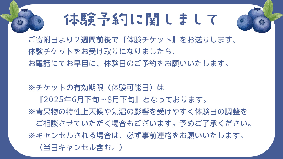 【寄附受付は2025年7月29日まで】 ブルーベリー狩り 体験チケット 《親子プラン お土産付き》 ブルーベリー ベリー 食べ比べ 食べ放題 収穫 収穫体験 体験 チケット 招待券 レジャー 観光 旅行 親子 ふれあい お土産 おみやげ 持ち帰り テイクアウト 多品種 果実 果物 くだもの フルーツ 自然体験 農業体験 茨城県 桜川市 [DZ008sa]
