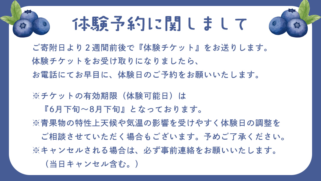 ブルーベリー狩り 体験チケット 《ファミリー４名様プラン お土産付き》 ブルーベリー ベリー 食べ比べ 食べ放題 収穫 収穫体験 体験 チケット 招待券 レジャー 観光 旅行 ファミリー ふれあい お土産 おみやげ 持ち帰り テイクアウト 多品種 果実 果物 くだもの フルーツ 自然体験 農業体験 茨城県 桜川市 [DZ010sa]