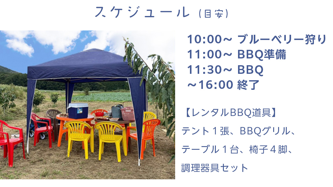 【寄附受付は2025年7月29日まで】 ブルーベリー狩り ＋ DAYキャンプ 体験チケット 《親子プラン レンタルBBQ道具＋お土産付き》 ブルーベリー ベリー 食べ比べ 食べ放題 収穫 収穫体験 キャンプ BBQ バーベキュー 肉 旅行 レンタル 体験 チケット 招待券 レジャー 観光 親子 ふれあい お土産 おみやげ 多品種 果実 果物 くだもの フルーツ 自然体験 農業体験 茨城県 桜川市 [DZ014sa]