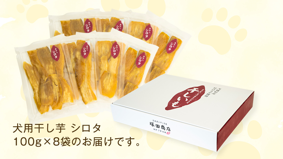 犬 の おやつ 干し芋 シロタ ( 100g × 8袋 ) 国産 手作り さつまいも 芋 お菓子 小分け 個包装 少量 栄養 食物繊維 噛みごたえ ドッグフード わんちゃん わんこ ペット ペットフード マツコの知らない世界 [EE017sa]