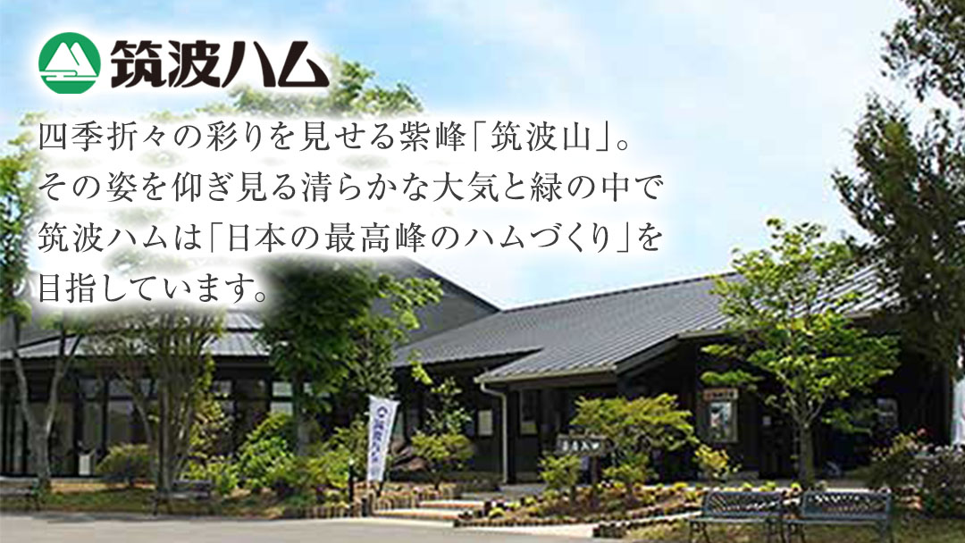 【お歳暮熨斗付き】 筑波ハム バラエティ ブロック 7品 ( ハム ベーコン ソーセージ 焼豚 ) 『常陸の輝き』 茨城県産 ブランド豚 銘柄豚 ( 茨城県共通返礼品 ) ロースハム ボンレスハム フランク ウィンナー 豚 ポーク ステーキ 肉 お肉 [EN006sa]
