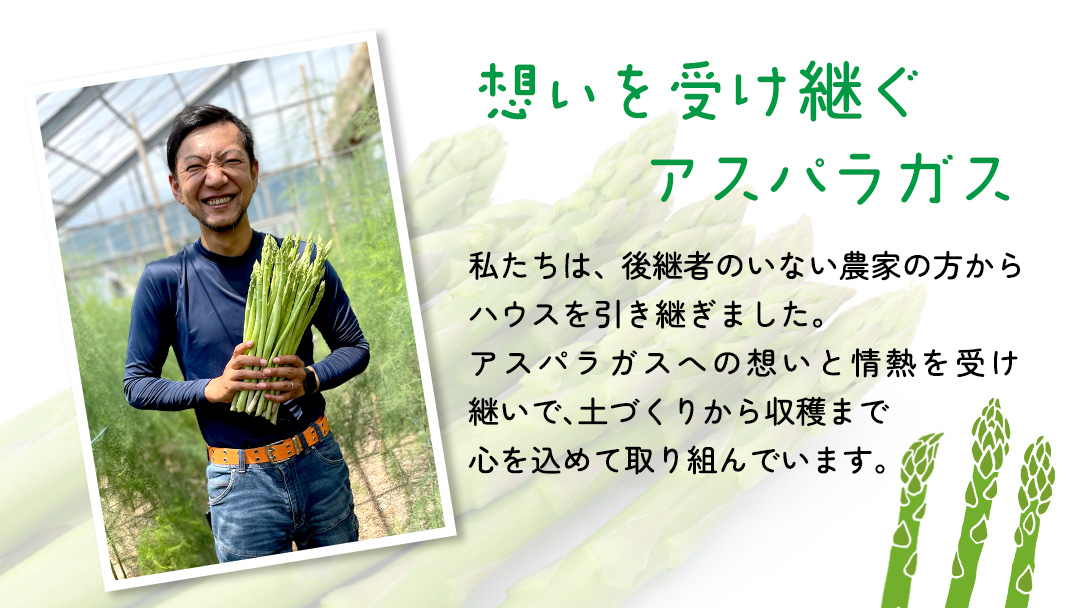 茨城県産 アスパラガス 800g 野菜 新鮮 フレッシュ 産地直送 農家直送 オーガニック BBQ バーベキュー キャンプ Freedom Farm フリーダムファーム[FK001sa]