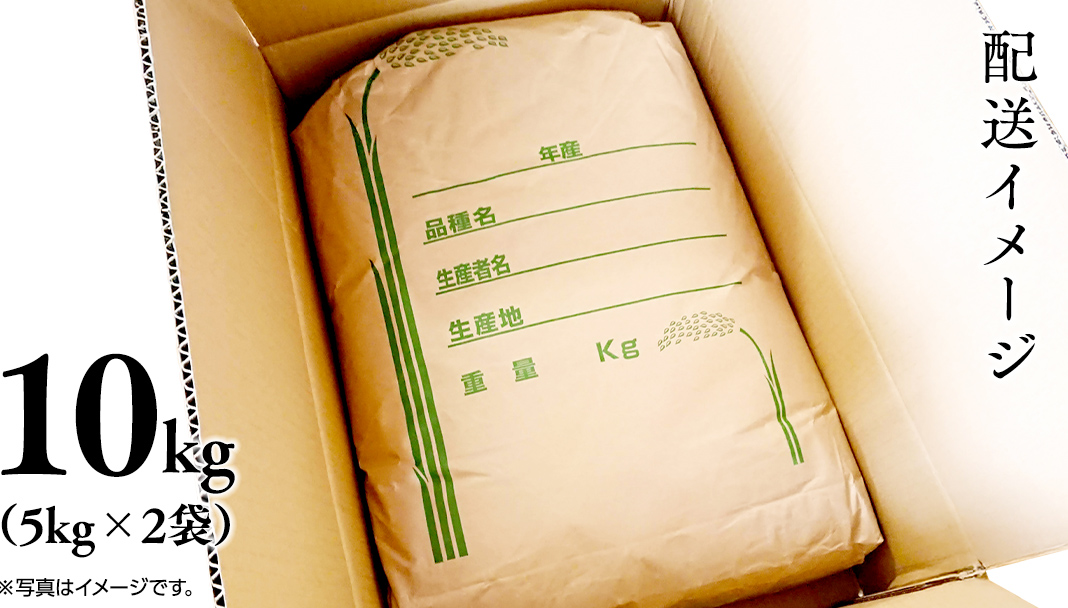 《 令和7年産 先行予約 》棚田で育った極上米 こしひかり 10kg ( 5kg × 2袋 ) 米 お米 白米 コメ ごはん 精米 コシヒカリ 国産 銘柄米 [SC062sa]