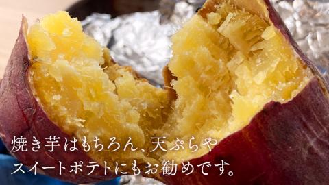 【2025年10月下旬発送開始】桜川産 さつまいも 紅はるか 5kg  茨城県 サツマイモ べにはるか 芋 甘い[SC029sa]