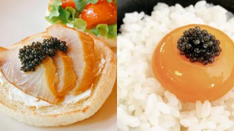 つくばスタージョン キャビア 20ｇ×1  キャビア 高級食材 記念日 誕生日 世界三大珍味 国産キャビア 茨城県産 茨城[AI005sa]