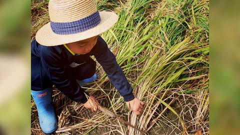 【12月上旬より順次発送】＜お歳暮熨斗付＞花の井 大吟醸 720ml 酒 お酒 のし 熨斗 ギフト 贈答 桐箱 お歳暮 御歳暮 日本酒 茨城県[AD009sa]