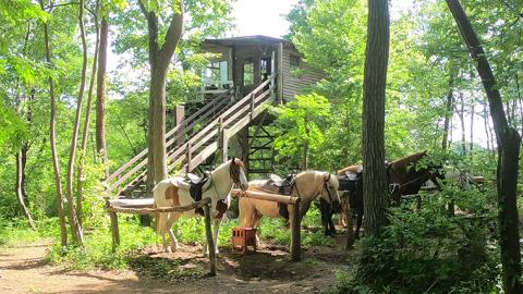 【初心者おススメ】 トムソーヤ珈琲コース 祝休日プラン 乗馬 トレッキング 体験チケット [DE004sa]