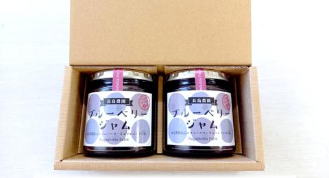 ブルーベリージャム 2本 ジャム ブルーベリー 国産 茨城県産 [AK007sa]