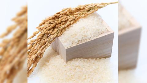 令和7年産 桜川市の 厳選甘引米 コシヒカリ 精米 4kg 桜川市産 コシヒカリ こしひかり 米 こめ コメ 茨城県 いばらき 有機肥料[BA006sa]