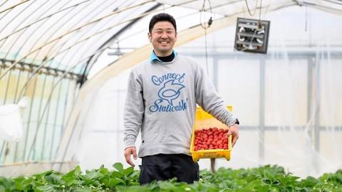 【 2026年 先行予約 】紅白 食べ比べセット いちご（ 2パック × 1箱 ) （茨城県共通返礼品／常陸太田市）2026年1月上旬発送開始 フルーツ 苺 イチゴ いちご 新鮮 朝採れ 茨城県 桧山FRUITFARM [DY019sa]