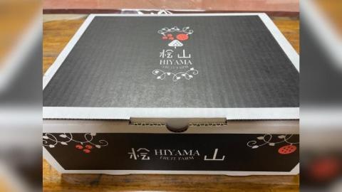 【2026年9月上旬発送開始】 茨城県産 『幻の 梨 』 秀玉 約 5kg 10玉 ～ 16玉 【茨城県共通返礼品／常陸太田市】 桧山果樹園 [DU006sa]