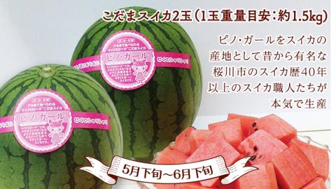 【 定期便 】【 2026年9月上旬から発送開始 全4回 】 数量限定 贅沢 フルーツ 満喫コース 旬の果実 旬のフルーツ くだもの 果実 トマト フルーツトマト スイカ いちご メロン 特選 贅沢 厳選 定期便  [BC057sa]