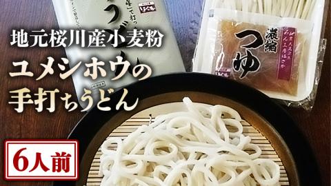 【手打ちうどん・６人前セット】地元 桜川産 小麦粉 「 ユメシホウ 」使用 うどん 手打ち 麺 食品 [AN002sa]