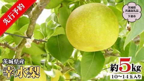 【 先行予約 】茨城県産 幸水 梨5kg 10玉～14玉入り  (茨城県共通返礼品 ／下妻市）( 2024年7月上旬発送開始 )  梨 数量限定 なし ナシ フルーツ 果物 旬 産 [DF001sa]