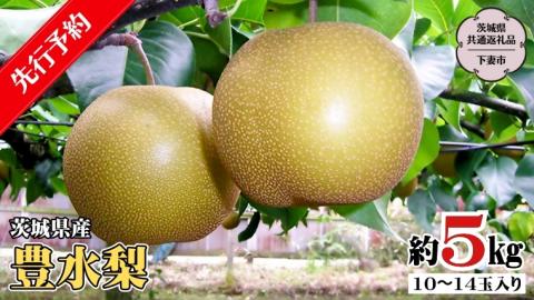 【 先行予約 】 茨城県産 豊水 梨5kg 10玉～14玉入り   (茨城県共通返礼品 ／下妻市） ( 2024年8月上旬発送開始 )  梨 数量限定 なし ナシ フルーツ 果物  [DF002sa]