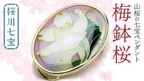 山桜の七宝 ペンダント 梅鉢桜 母の日 プレゼント ジュエリー 記念 ギフト 贈り物 贈答 [AH009sa]